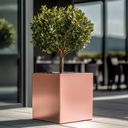 Rose Gold Cube